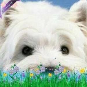 Meet your Posher, Linda